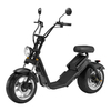 HL2.0 1200W/2000w Street Legal Removable Battery Adult Electric Citycoco Scooter