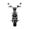 HL7.0-C Removable Battery Street Legal Modern 1000w Electric Scooter for Adults