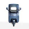 LUQI U8 1500W Multi-mode Lithium Battery 3 Wheel Electric Tricycle for Adults