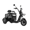 LQ-1 1000w Street Legal Low Speed Big Wheel Adult Electric Passenger Tricycle