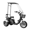 LUQI TRIKE GOLF 3.1 Adult Golf Cart 1000W 3 Wheel Citycoco Electric Tricycle Trike