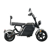 HL7.0-C Removable Battery Street Legal Modern 1000w Electric Scooter for Adults