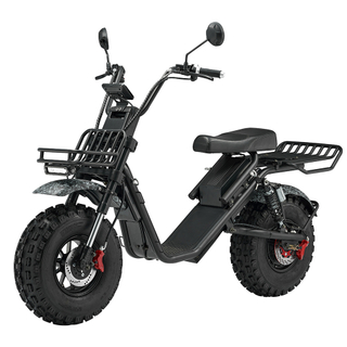 HL 2.0SUV Off Road Fat Tire 2000w 60v Electric Citycoco Scooter with Front Basket