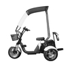 LUQI TRIKE GOLF 3.1 Adult Golf Cart 1000W 3 Wheel Citycoco Electric Tricycle Trike