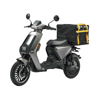 LUQI Q5 Powerful Electric Motorcycle Adult Battery Powered Electric Mopeds Scooter with Pedals