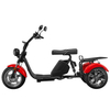 Hot Sale Lithium Battery 1000w 3 Wheels Electric Tricycle Trike Motorcycle for Adults