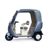 LUQI U8 1500W Multi-mode Lithium Battery 3 Wheel Electric Tricycle for Adults