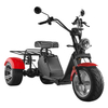 Hot Sale Lithium Battery 1000w 3 Wheels Electric Tricycle Trike Motorcycle for Adults